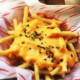 special chicken  fries